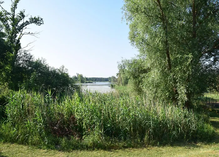 Land-gut-Hotel Seeblick